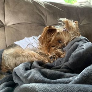 Meet your Posher, Debbie